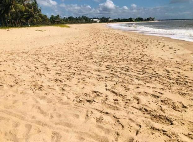 Itacimirim Village Praia Da Espera Eksteriør billede